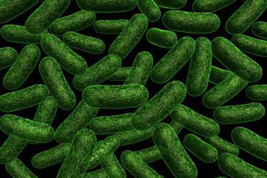 Similar image 1780299