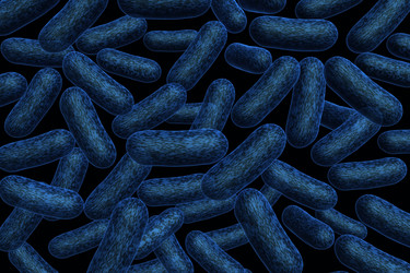 Similar image 1780300