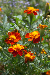 Similar image 1780308