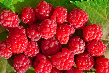 Similar image 1780320