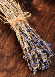 Similar image 1780394