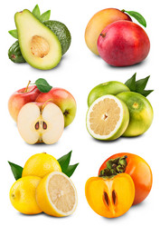 Similar image 1780399