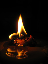 Similar image 1780479