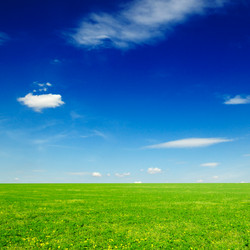 Similar image 1780655