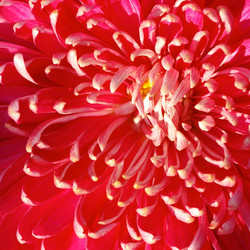 Similar image 1780656