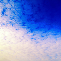 Similar image 1780658