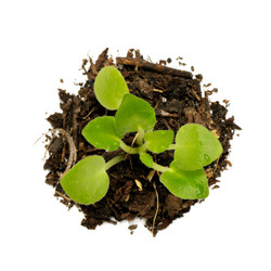 Similar image 1780685