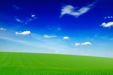 Similar image 1780687