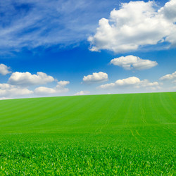 Similar image 1780688