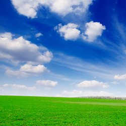 Similar image 1780694