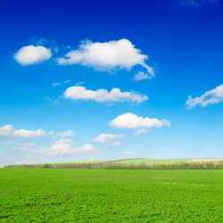 Similar image 1780697