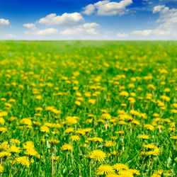 Similar image 1780698