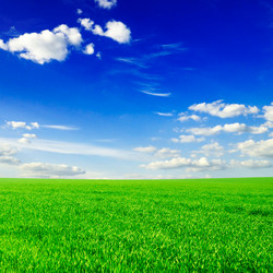 Similar image 1780705