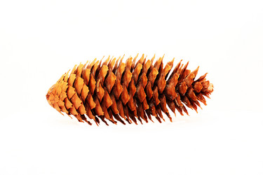 Similar image 1780714