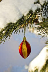 Similar image 1780725