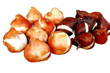 Similar image 1780735