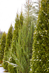 Similar image 1780743