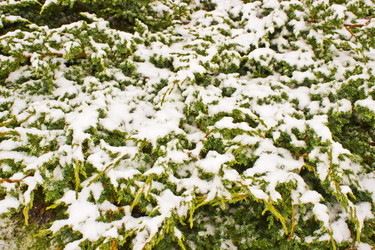 Similar image 1780744