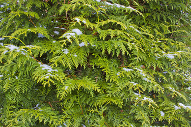 Similar image 1780746