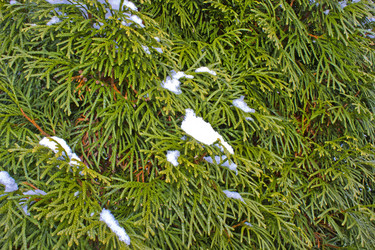 Similar image 1780747