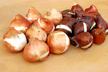 Similar image 1780753