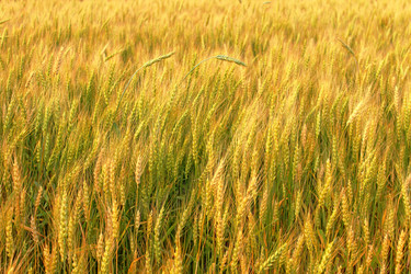 Similar image 1780757