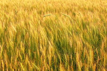 Similar image 1780758