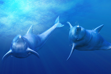 Similar image 1780869