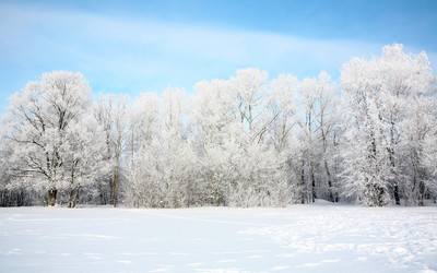 Similar image 1781039