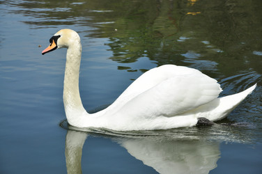 Similar image 1781080