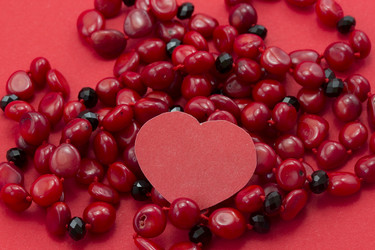 Similar image 1781188