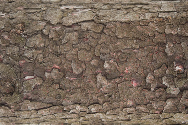 Similar image 1781202