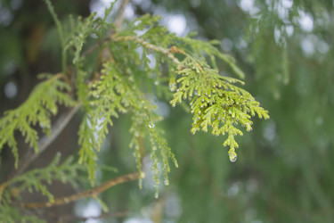 Similar image 1781219