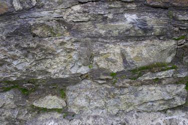 Similar image 1781220