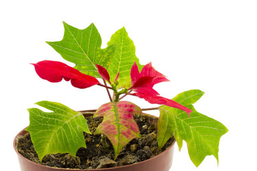 Similar image 1781237