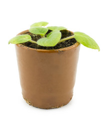 Similar image 1781238