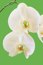 Similar image 1781244