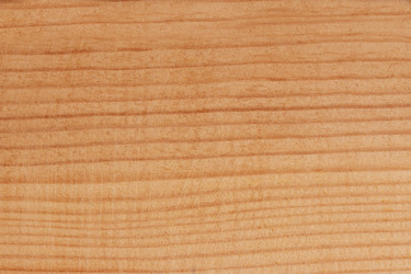 Similar image 1781255