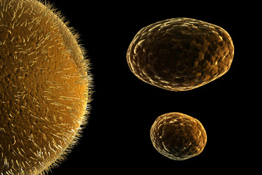 Similar image 1781339