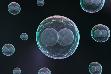 Similar image 1781341