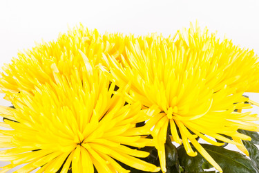 Similar image 1781347