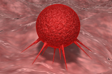 Similar image 1781390