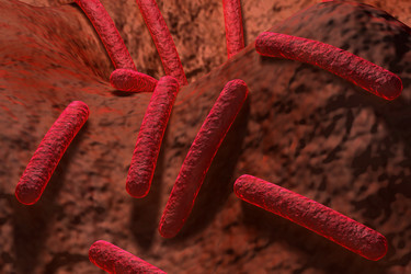 Similar image 1781391