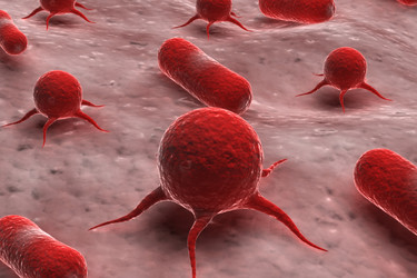 Similar image 1781398