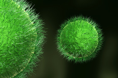 Similar image 1781423