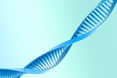 Similar image 1781433