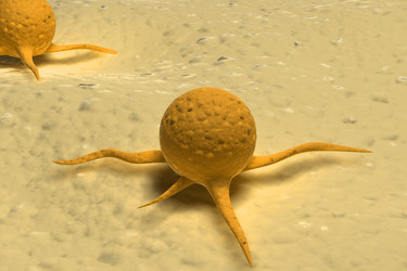 Similar image 1781434