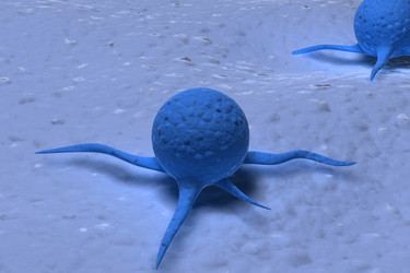 Similar image 1781435