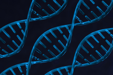 Similar image 1781580