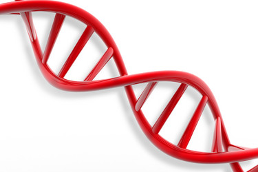 Similar image 1781585